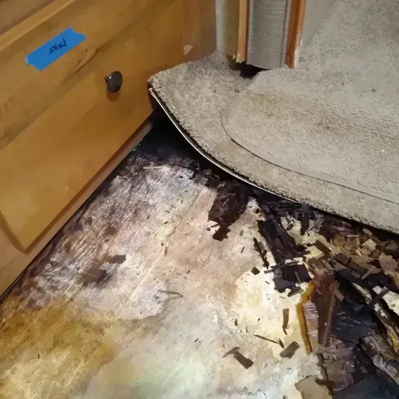 Wood Floor Water Damage in Lafayette County, MS